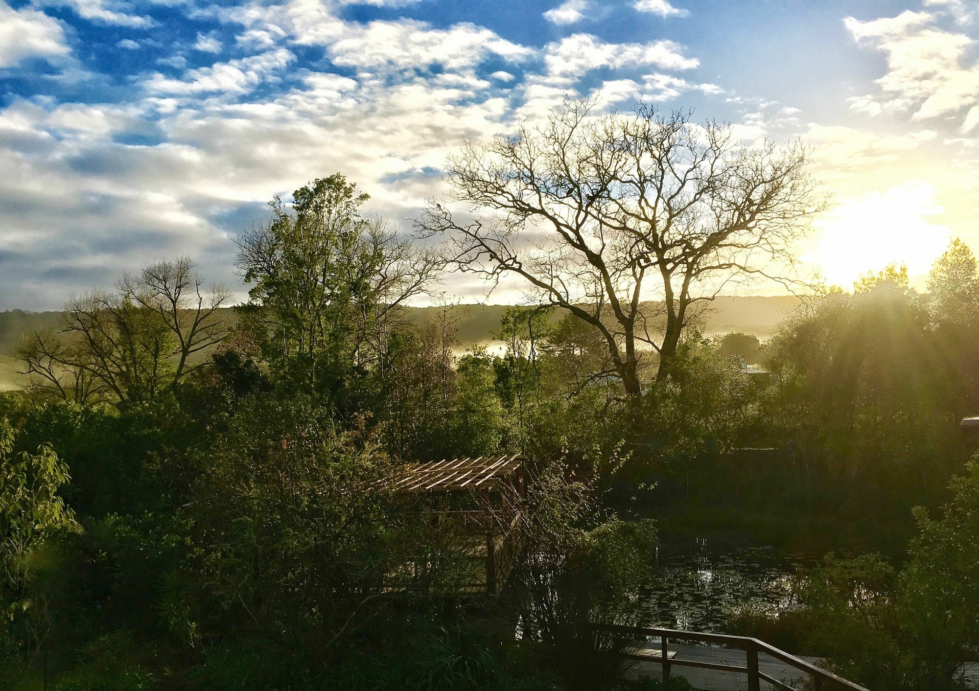 Forest Edge Guest house Rheenendal