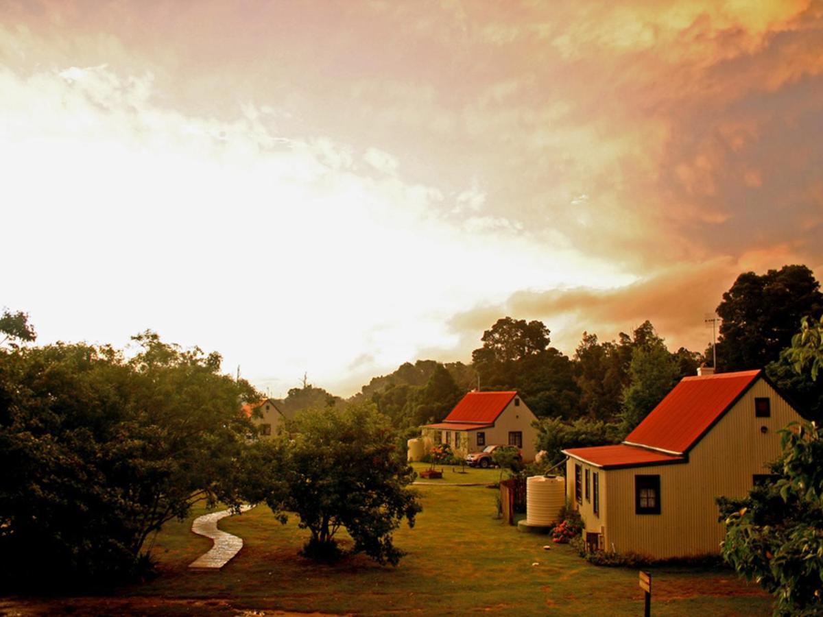 Forest Edge Guest house